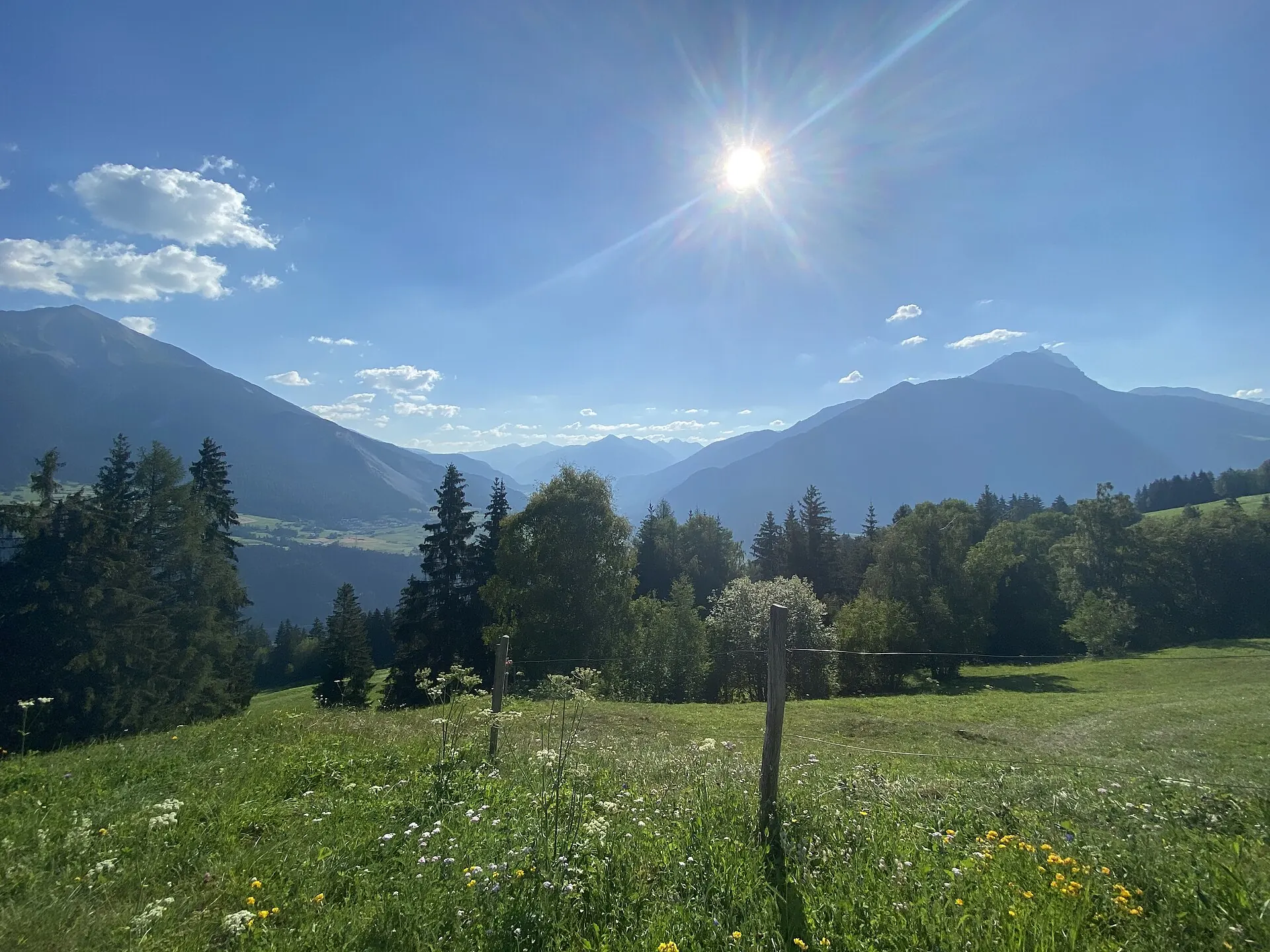 Morgenstimmung über einer Alpwiese mit Bergkulisse